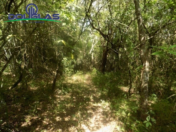 Imagem Imóvel Comercial à Venda,  em Viamão