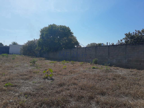 Imagem Terreno à Venda, 650 m² em Vila São Guido - Pirassununga