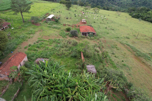 Imagem Chácara à Venda, 17 m² em Zona Rural - Cajuru Imagem Chácara à Venda, 17 m² em Zona Rural - Cajuru