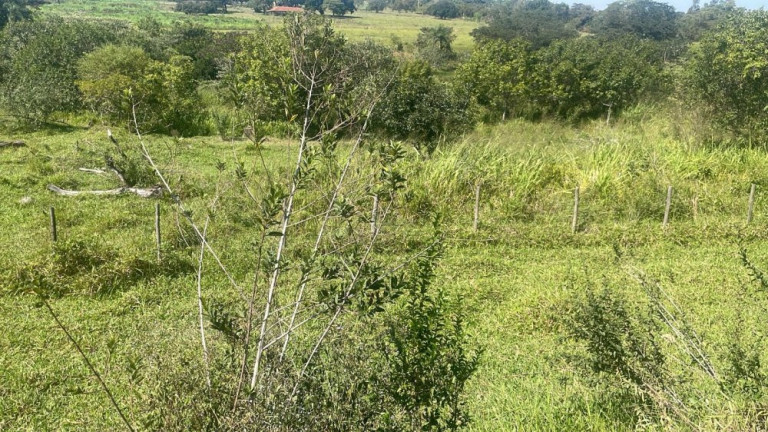 Imagem Imóvel com 3 Quartos à Venda, 45.000 m² em Rio Verde - Bauru Imagem Imóvel com 3 Quartos à Venda, 45.000 m² em Rio Verde - Bauru