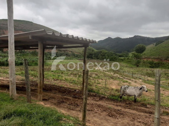Imagem Fazenda à Venda, 90 m² em Itapeva - Paraibuna Imagem Fazenda à Venda, 90 m² em Itapeva - Paraibuna