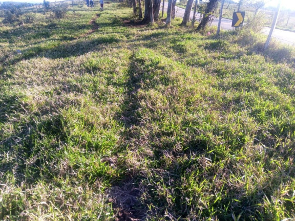 Imagem Chácara à Venda, 4 m² em Rural - Angatuba Imagem Chácara à Venda, 4 m² em Rural - Angatuba
