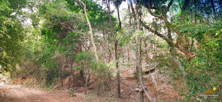 Imagem Imóvel à Venda, 8.650 m² em Caxeta - Campos Dos Goytacazes Imagem Imóvel à Venda, 8.650 m² em Caxeta - Campos Dos Goytacazes