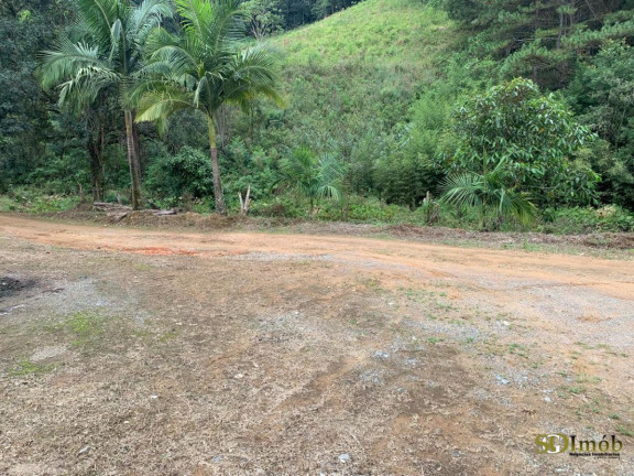Imagem Chácara com 2 Quartos à Venda, 5.000 m² em Capinzal - Guapiara Imagem Chácara com 2 Quartos à Venda, 5.000 m² em Capinzal - Guapiara
