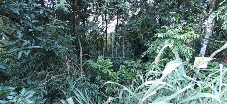 Imagem Terreno à Venda, 2.024 m² em Vargem Grande - Florianópolis Imagem Terreno à Venda, 2.024 m² em Vargem Grande - Florianópolis