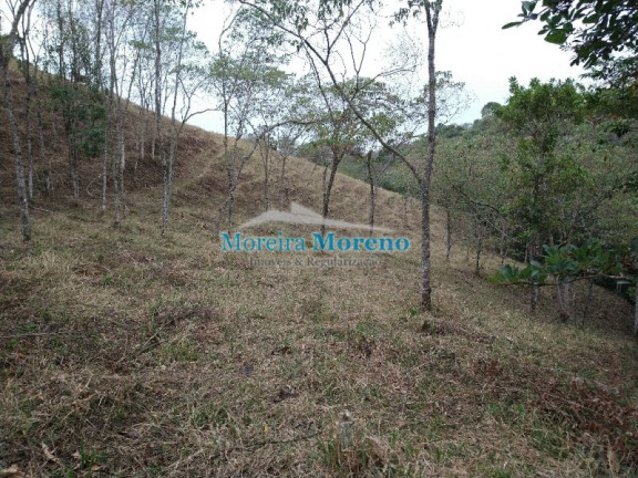 Imagem Imóvel à Venda, 5 m² em Zona Rural - Borda Da Mata Imagem Imóvel à Venda, 5 m² em Zona Rural - Borda Da Mata