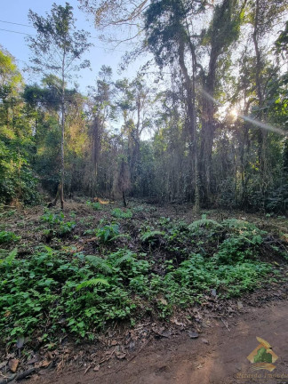 Imagem Terreno à Venda, 1.500 m² em Horto Florestal - Ubatuba