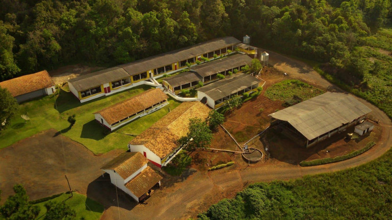 Imagem Imóvel à Venda, 172.000 m² em Rural - Concórdia Imagem Imóvel à Venda, 172.000 m² em Rural - Concórdia