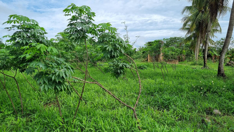 Imagem Terreno à Venda, 12.182 m² em Camará - Aquiraz