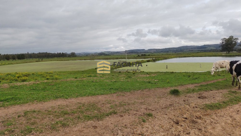 Imagem Imóvel com 3 Quartos à Venda, 660.000 m² em Hidráulica - Capão Do Leão Imagem Imóvel com 3 Quartos à Venda, 660.000 m² em Hidráulica - Capão Do Leão