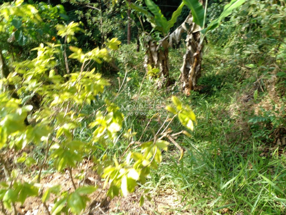 Imagem Imóvel à Venda,  em Zantão - Brusque