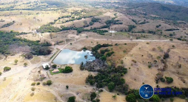 Imagem Fazenda à Venda, 72 m² em Zona Rural - Morro Agudo De Goiás Imagem Fazenda à Venda, 72 m² em Zona Rural - Morro Agudo De Goiás