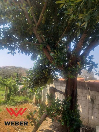 Imagem Chácara com 3 Quartos à Venda, 1.150 m² em Bosque Dos Eucaliptos - Araçoiaba Da Serra