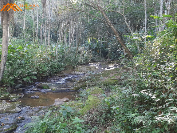 Fazenda à Venda,  em Figueira - Imaruí