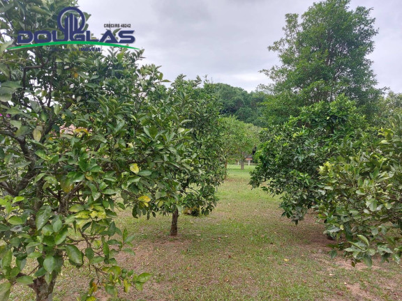 Imagem Terreno à Venda,  em águas Claras - Viamão