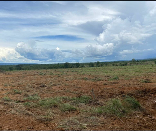 Imagem Fazenda à Venda, 1.135 m² em Cuiabá Imagem Fazenda à Venda, 1.135 m² em Cuiabá
