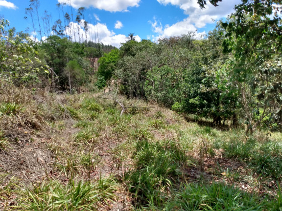 Imagem Imóvel à Venda, 48.000 m² em São Marcos - Bofete Imagem Imóvel à Venda, 48.000 m² em São Marcos - Bofete