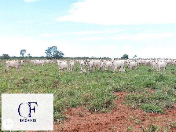 Fazenda à Venda, 3.097 m² em Rural - Chapadão Do Sul