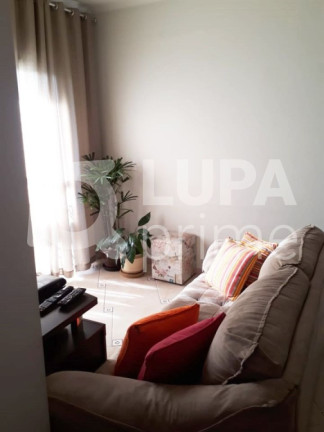 Imagem Apartamento com 2 Quartos à Venda, 57 m² em Vila Mazzei - São Paulo Imagem Apartamento com 2 Quartos à Venda, 57 m² em Vila Mazzei - São Paulo