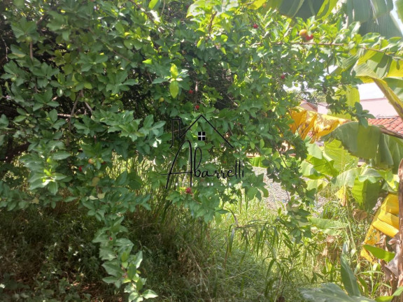 Imagem Terreno à Venda, 233 m² em Vila Rezende - Piracicaba