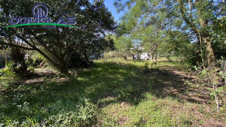 Imagem Terreno à Venda, 600 m² em Viamão Imagem Terreno à Venda, 600 m² em Viamão