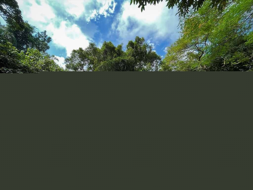 Casa com 3 Quartos à Venda, 380 m² em Campo Guairá - Jd. Da Glória - Carapicuíba
