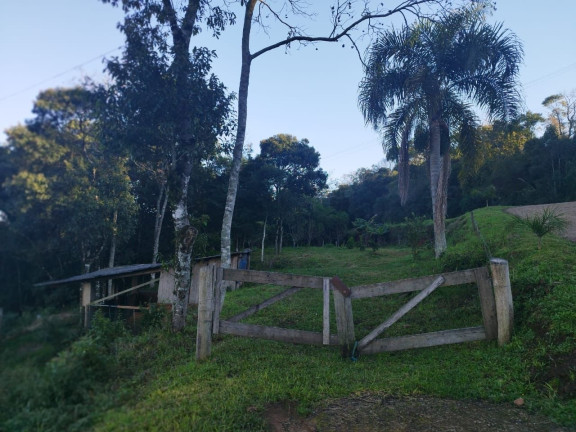 Imagem Terreno à Venda, 2.800 m² em Borghetto - Garibaldi