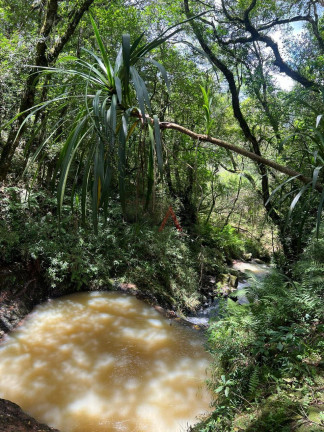 Imagem Fazenda à Venda, 5 m² em Rio Das Pedras - Guarapuava Imagem Fazenda à Venda, 5 m² em Rio Das Pedras - Guarapuava