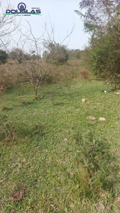 Imagem Chácara à Venda, 20.000 m² em Viamão Imagem Chácara à Venda, 20.000 m² em Viamão