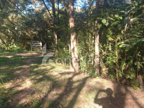 Imagem Chácara com 3 Quartos à Venda, 250 m² em Rio De Peixe - São José Dos Campos Imagem Chácara com 3 Quartos à Venda, 250 m² em Rio De Peixe - São José Dos Campos