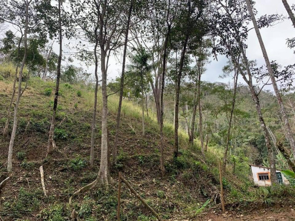 Imagem Chácara com 3 Quartos à Venda, 81 m² em Riograndina - Nova Friburgo Imagem Chácara com 3 Quartos à Venda, 81 m² em Riograndina - Nova Friburgo