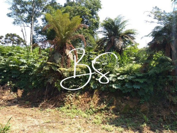 Imagem Imóvel à Venda, 1.000 m² em Serra Grande - Igrejinha Imagem Imóvel à Venda, 1.000 m² em Serra Grande - Igrejinha