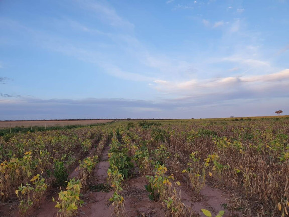 Imagem Fazenda à Venda, 407 m² em Go - Mambaí Imagem Fazenda à Venda, 407 m² em Go - Mambaí
