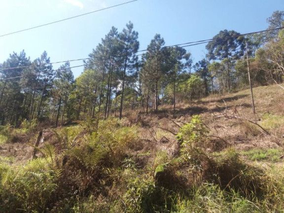 Imagem Terreno à Venda, 6.765 m² em Ouro Fino Paulista - Ribeirão Pires