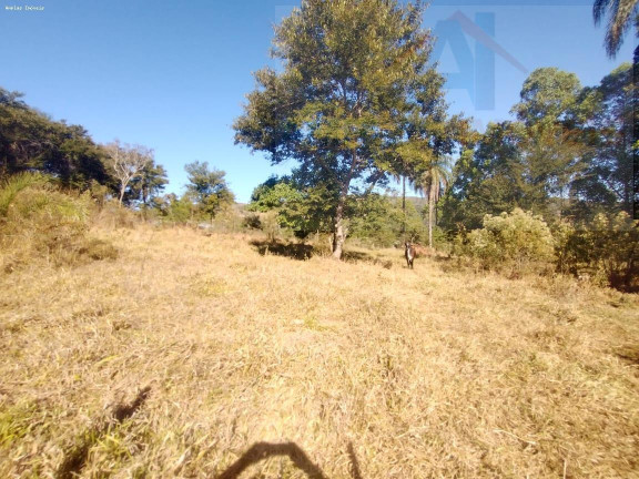 Imagem Chácara à Venda, 1.000 m² em Gonçalves - Mateus Leme