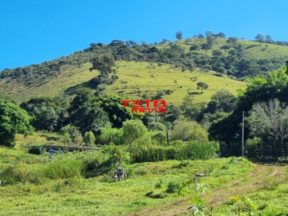 Imagem Terreno à Venda, 11 m² em 1,7 Km Do Parque Das águas - São Lourenço Imagem Terreno à Venda, 11 m² em 1,7 Km Do Parque Das águas - São Lourenço