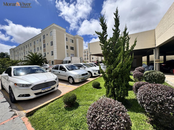 Imagem Apartamento com 2 Quartos à Venda, 47 m² em Boneca Do Iguaçu - São José Dos Pinhais Imagem Apartamento com 2 Quartos à Venda, 47 m² em Boneca Do Iguaçu - São José Dos Pinhais