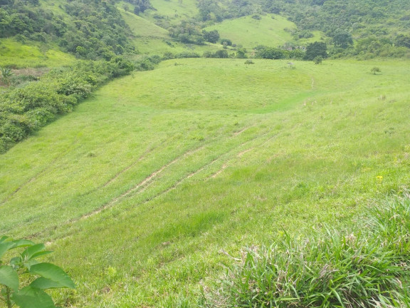 Imagem Fazenda à Venda, 1.930.000 m² em Centro - Trajano De Morais Imagem Fazenda à Venda, 1.930.000 m² em Centro - Trajano De Morais