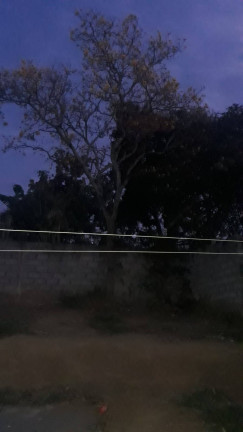 Imagem Chácara com 2 Quartos à Venda, 750 m² em Chácaras Pousada Do Vale - São José Dos Campos Imagem Chácara com 2 Quartos à Venda, 750 m² em Chácaras Pousada Do Vale - São José Dos Campos