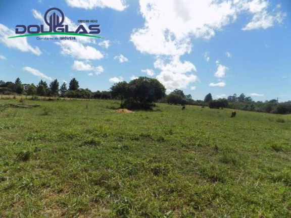 Imagem Terreno à Venda, 1.100 m² em águas Claras - Viamão