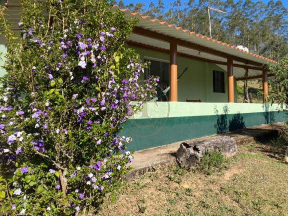 Imagem Chácara com 3 Quartos à Venda, 17 m² em Rio Do Peixe - Cunha Imagem Chácara com 3 Quartos à Venda, 17 m² em Rio Do Peixe - Cunha