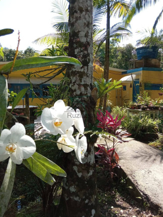 Imagem Chácara com 4 Quartos à Venda, 5.000 m² em Jardim Aguapeú - Itanhaém Imagem Chácara com 4 Quartos à Venda, 5.000 m² em Jardim Aguapeú - Itanhaém