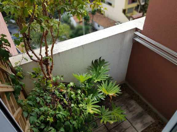 Imagem Apartamento com 2 Quartos à Venda, 63 m² em Sumaré - São Paulo Imagem Apartamento com 2 Quartos à Venda, 63 m² em Sumaré - São Paulo