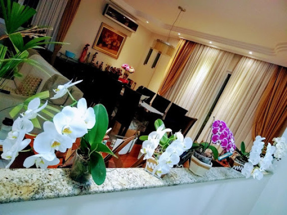 Imagem Sobrado com 3 Quartos à Venda, 223 m² em Campo Grande - Santos Imagem Sobrado com 3 Quartos à Venda, 223 m² em Campo Grande - Santos