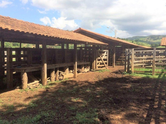 Imagem Imóvel com 3 Quartos à Venda, 448.000 m² em Roseta - Cambuí