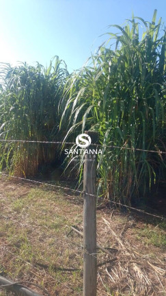 Imagem Chácara à Venda, 2 m² em Zona Rural - Valentim Gentil Imagem Chácara à Venda, 2 m² em Zona Rural - Valentim Gentil