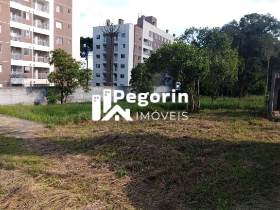 Terreno à Venda, 6.325 m² em Jardim Cláudia - Pinhais
