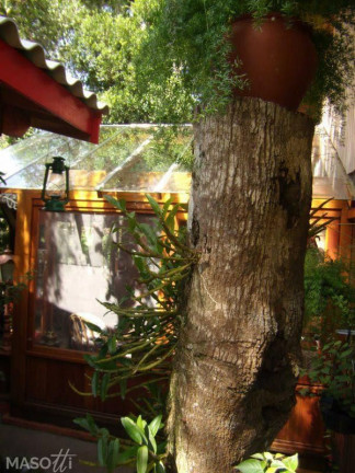 Imagem Casa com 3 Quartos à Venda, 245 m² em Mato Queimado - Gramado Imagem Casa com 3 Quartos à Venda, 245 m² em Mato Queimado - Gramado
