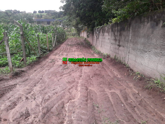 Imagem Chácara à Venda, 1.290 m² em Jardim Santa Hermínia - São José Dos Campos Imagem Chácara à Venda, 1.290 m² em Jardim Santa Hermínia - São José Dos Campos