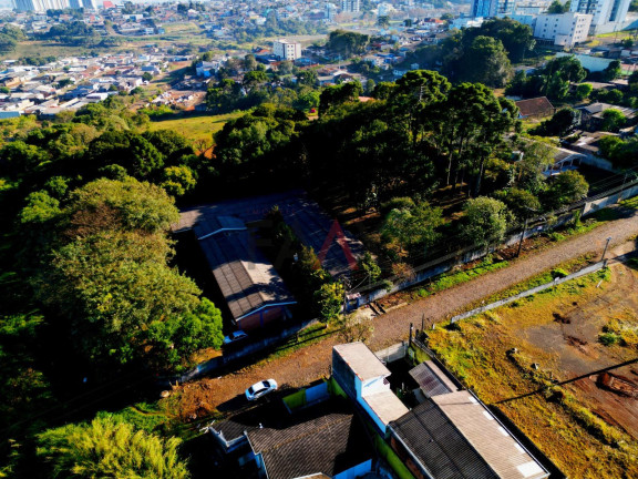 Imagem Terreno à Venda, 4.699 m² em Santa Cruz - Guarapuava Imagem Terreno à Venda, 4.699 m² em Santa Cruz - Guarapuava